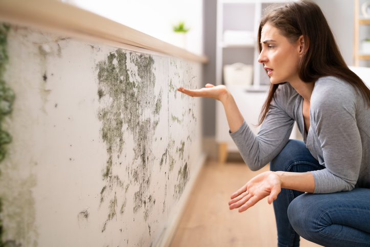Woman looking at mold