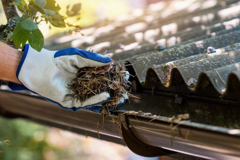 hand with glove cleaning dirty gutter