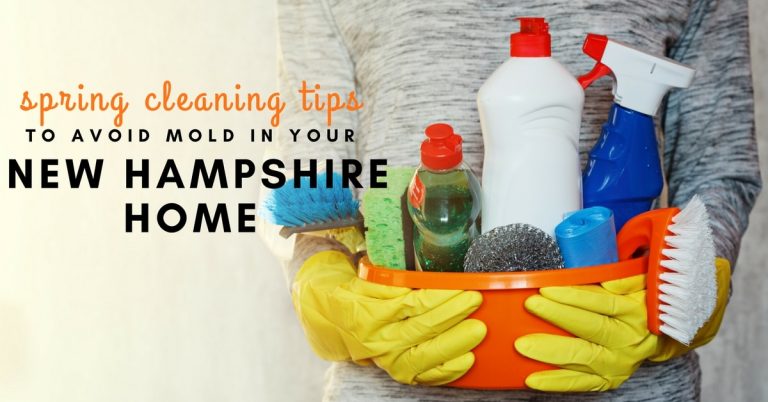 Spring Cleaning Tips to Avoid Mold
