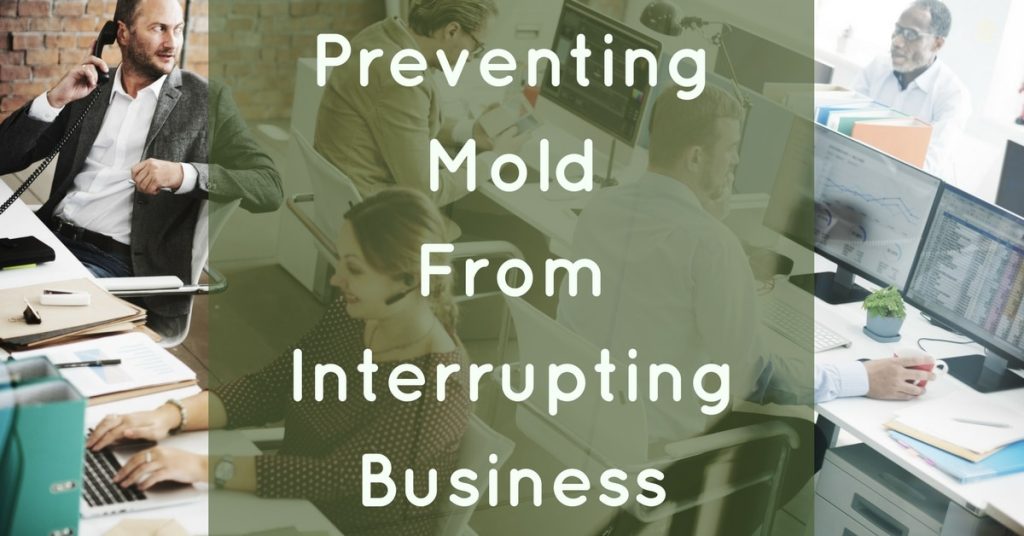Commercial Mold Prevention