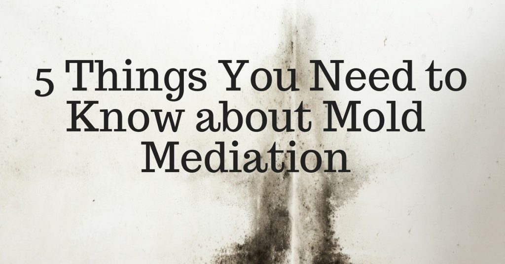 Mold Mediation Tips