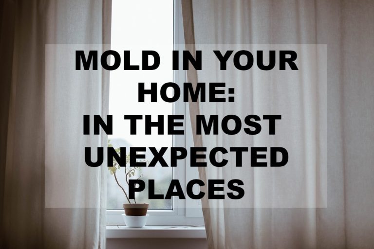 mold in your home
