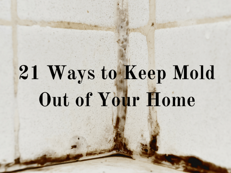 keep mold out of your home