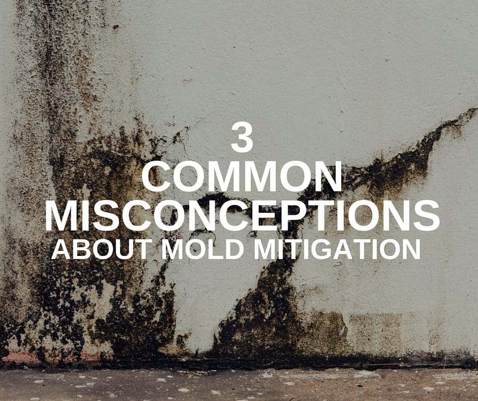 3 Common Misconceptions About Mold Mitigation