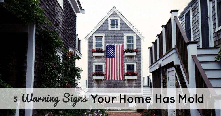 Warning Signs You Home Has Mold