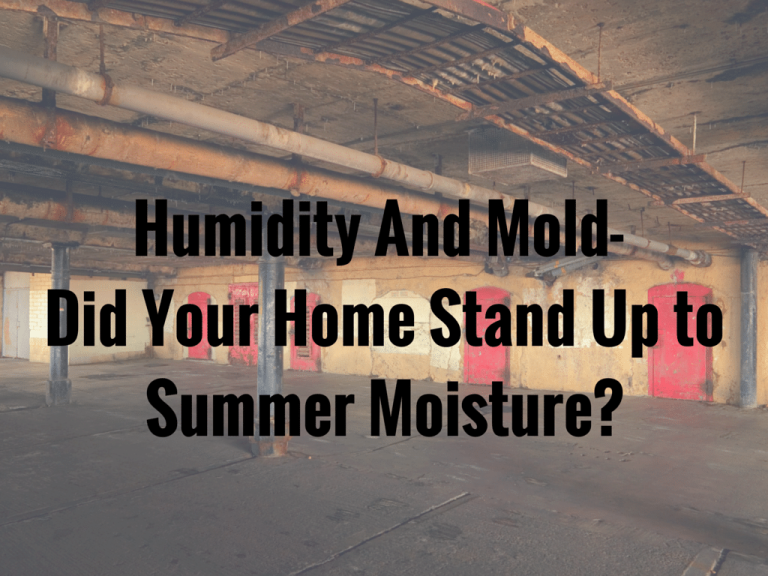 Humidity and Mold in Home