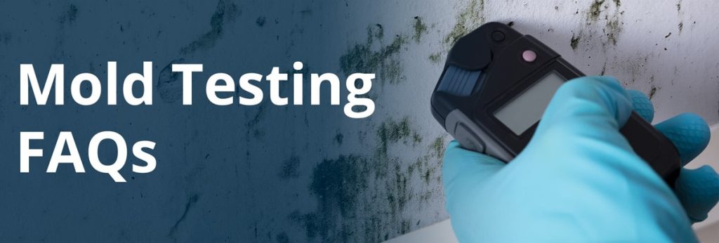 Mold Testing FAQs