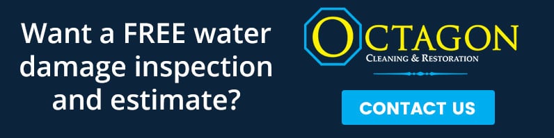 water damage inspection