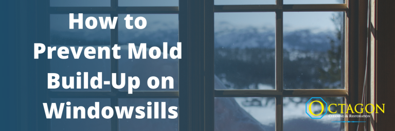 prevent mold on windowsills