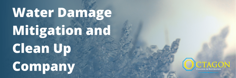 water damage clean up company