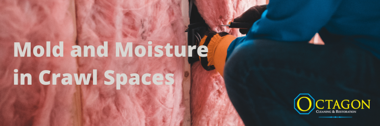 mold in crawlspaces