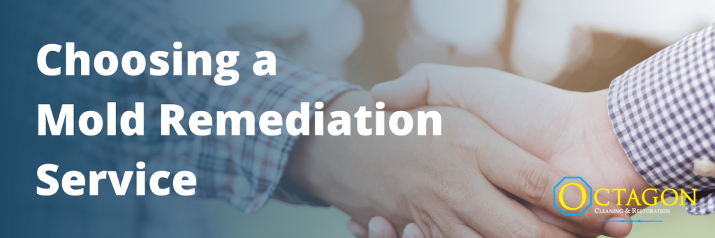 mold remediation services