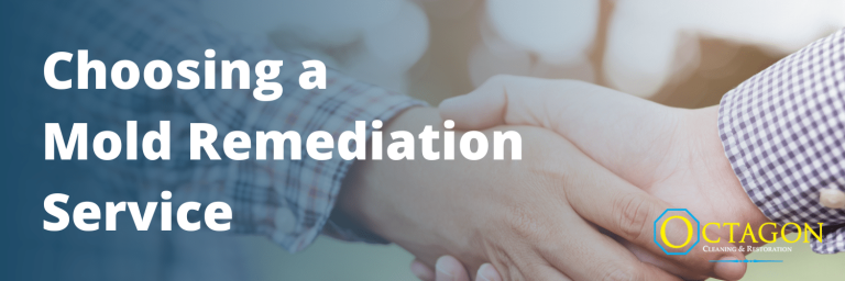 mold remediation services