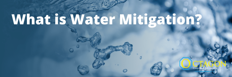 what is water mitigation