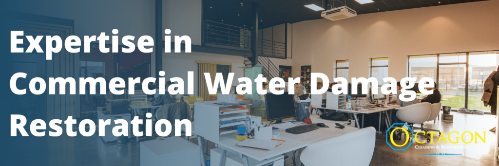 Commercial Water Damage Restoration