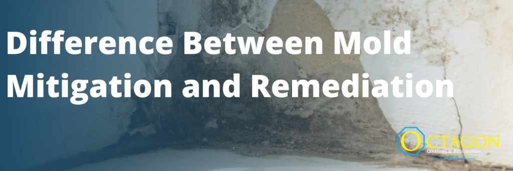 Difference Between Mold Mitigation and Remediation