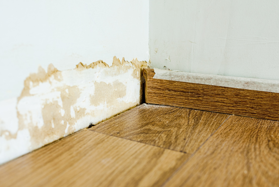 water damage on wall and floor