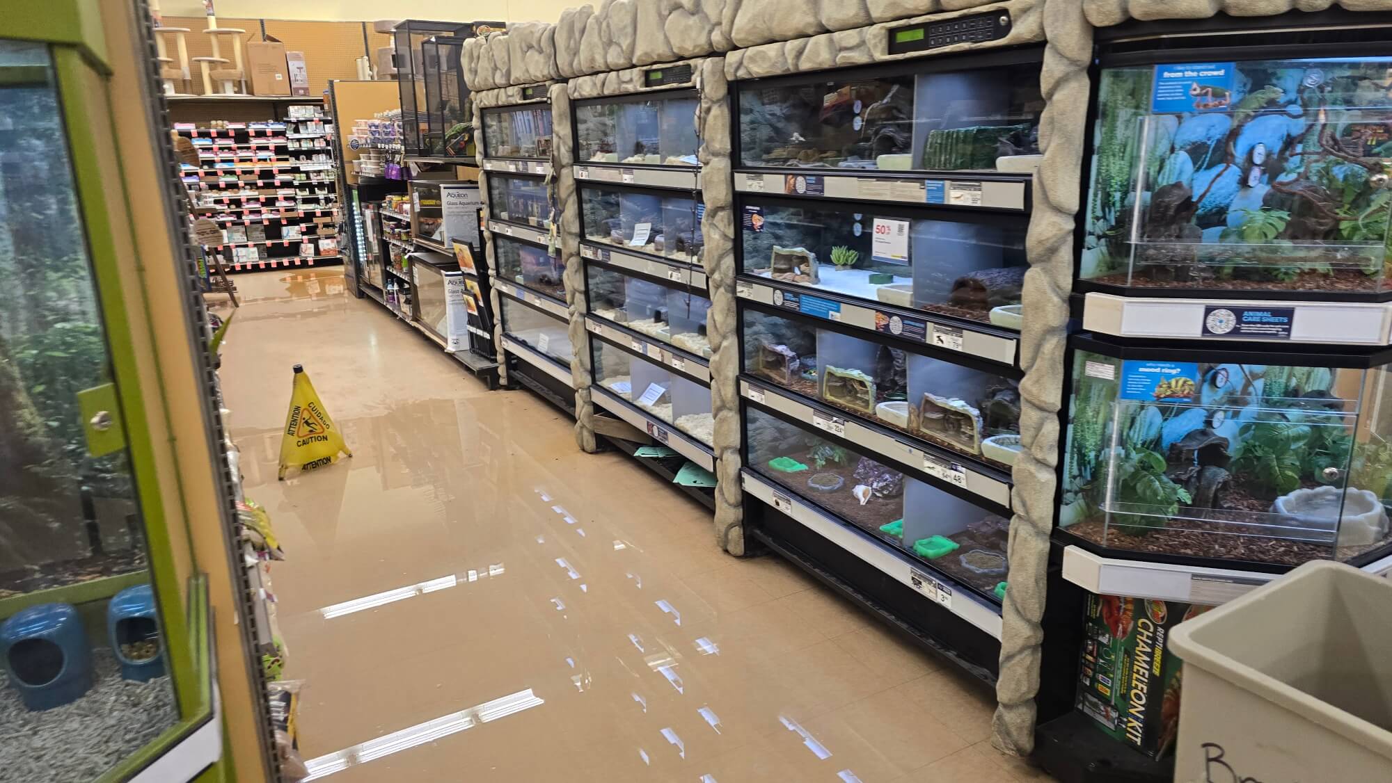 water damage to floor