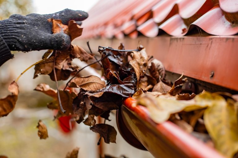 cleaning gutters in the fall