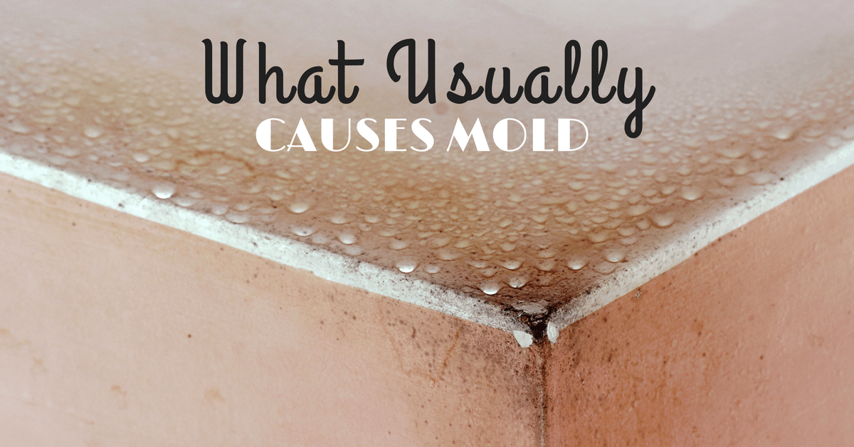 What Causes Mold