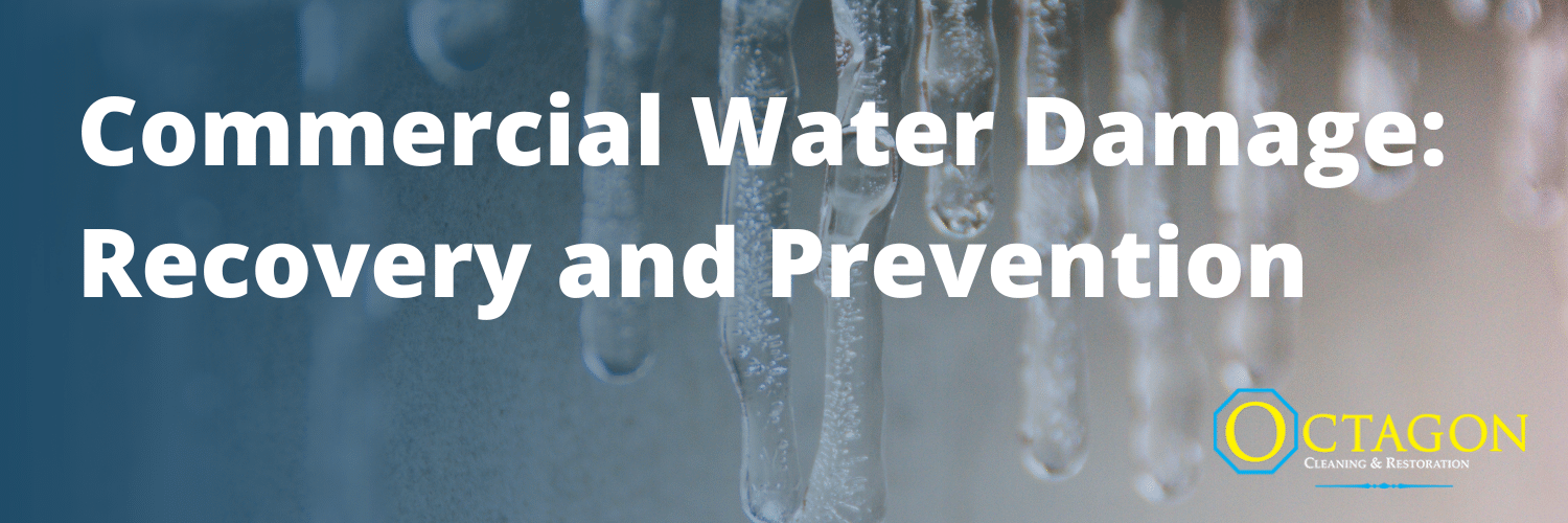 Commercial Water Damage: Key Steps to Recovery and Prevention