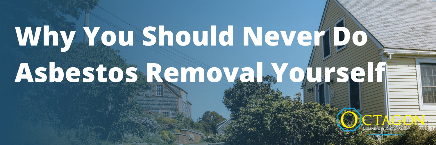 Doing a DIY Renovation? Why You Should Never Do Asbestos Removal Yourself