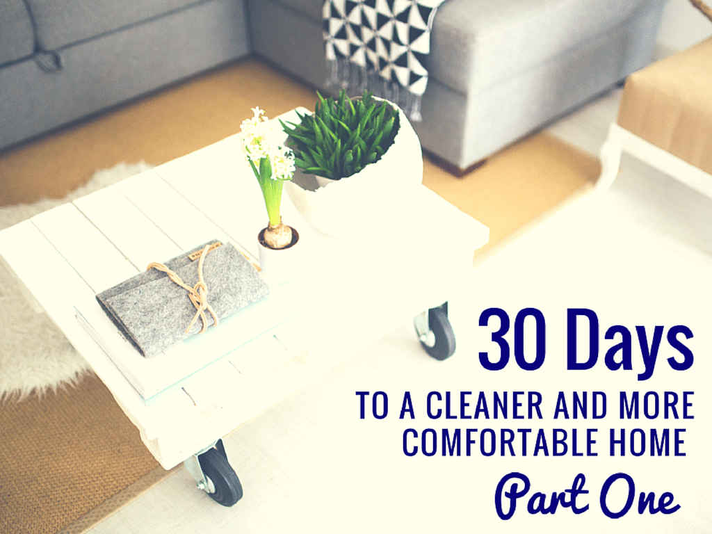 30 Days to a Cleaner and More Comfortable Home Part I