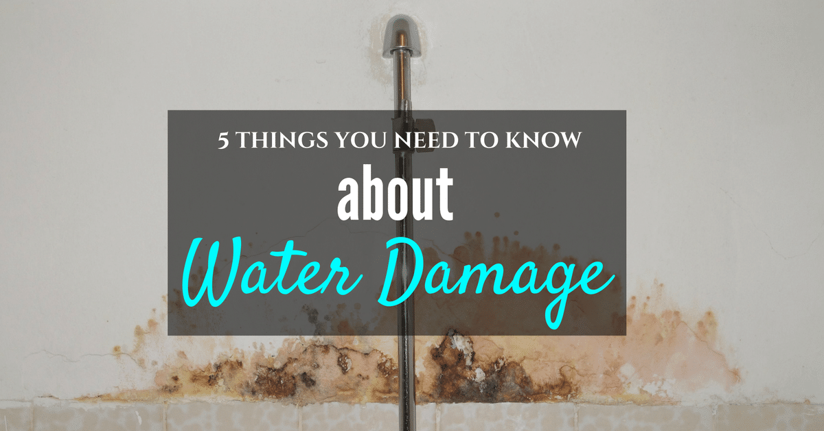 5 Things You Need to Know About Water Damage