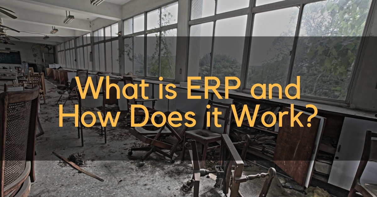 What is an ERP and How Does it Work?