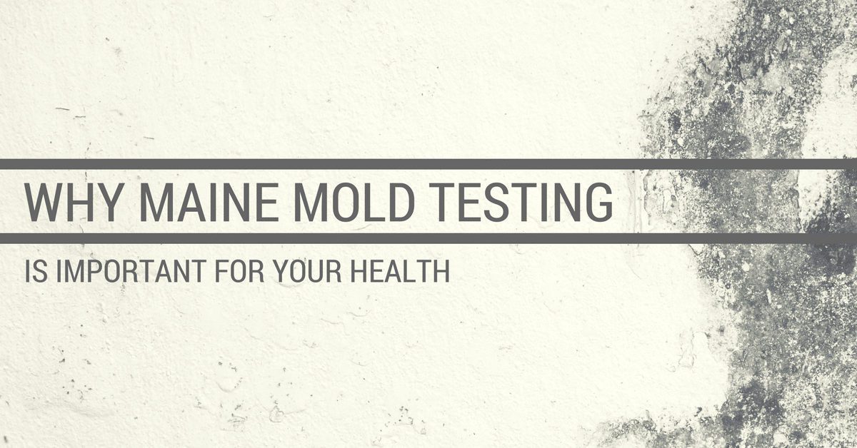 Why Maine Mold Testing Is Important for Your Health