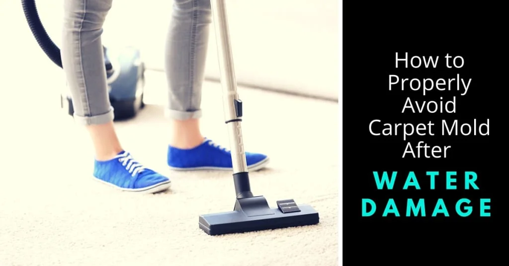 Avoid Carpet Mold After Water Damage