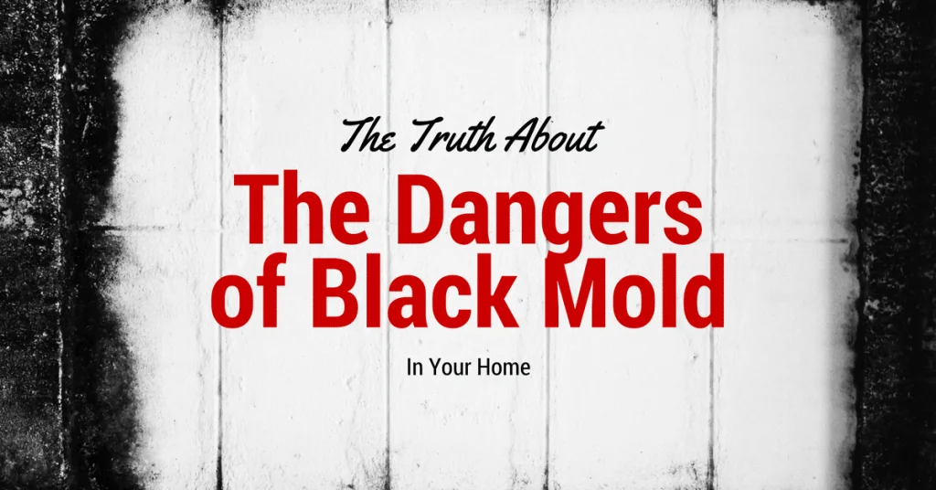 Dangers of Black Mold