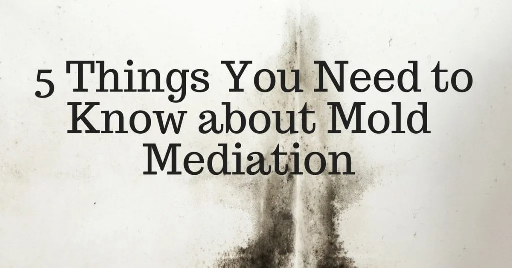 Mold Mediation Tips