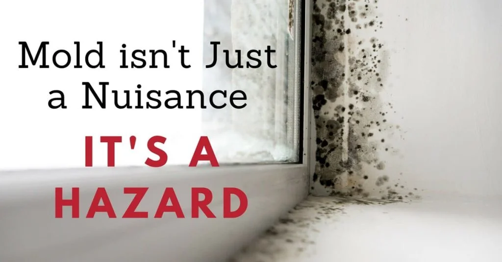 Mold on Window Sill