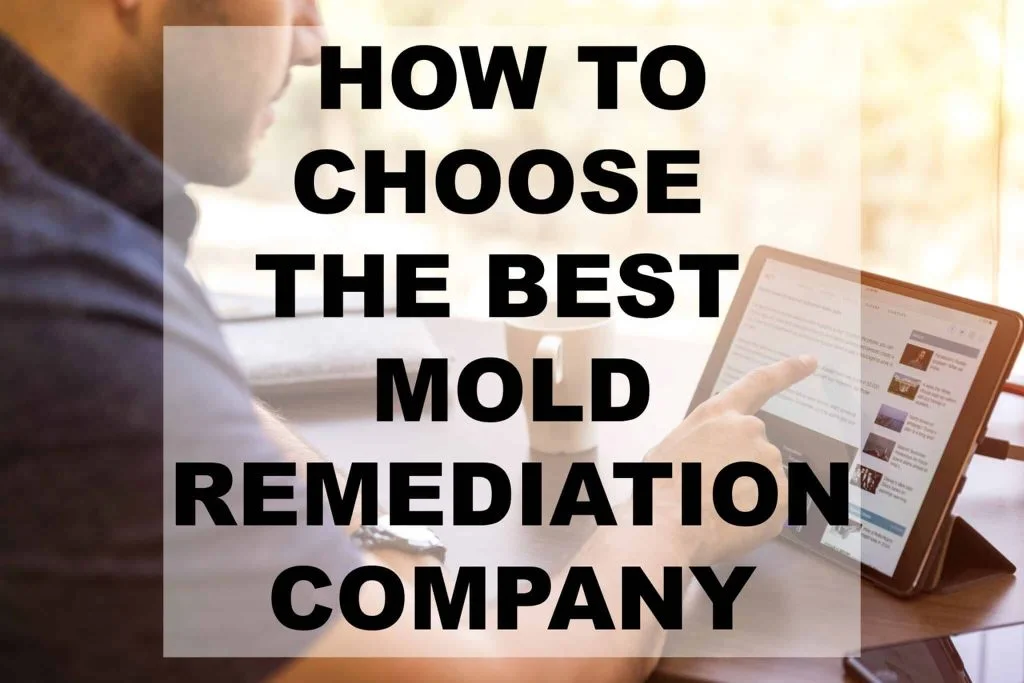 mold remediation companies