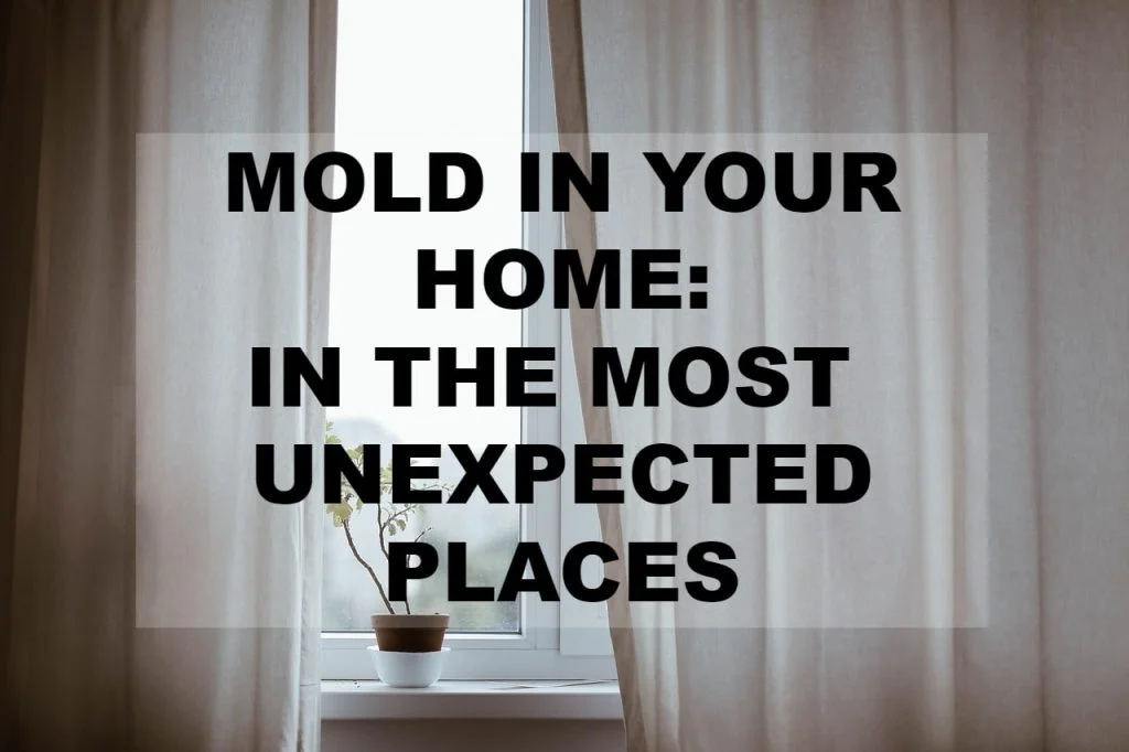 mold in your home