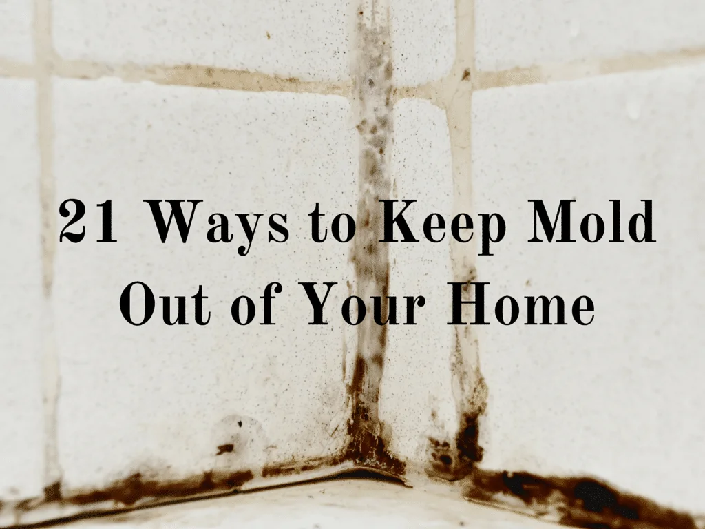 keep mold out of your home