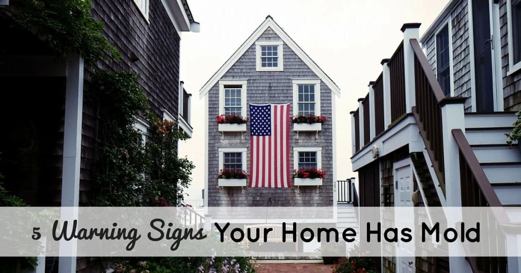 Warning Signs You Home Has Mold