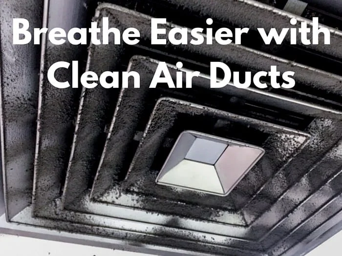 Clean air ducts