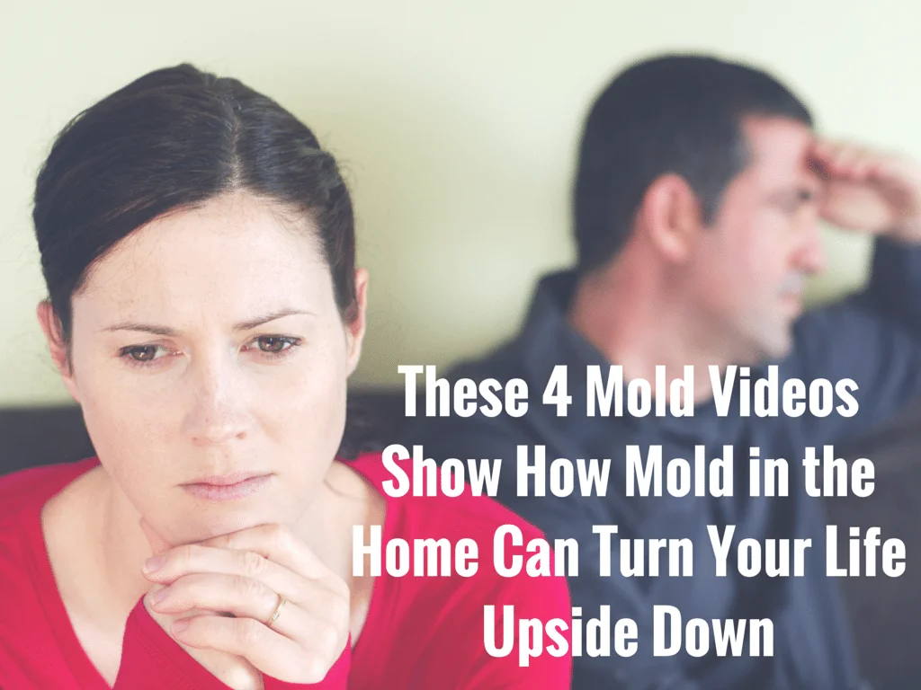 Mold in the home