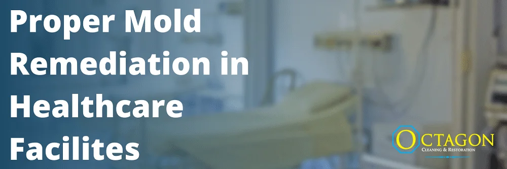 proper mold remediation in healthcare