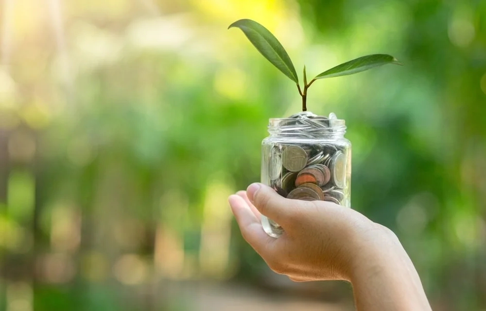 A seedling growing inside a glass container. Background is the forest.
