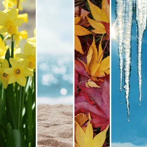 seasonal preparedness