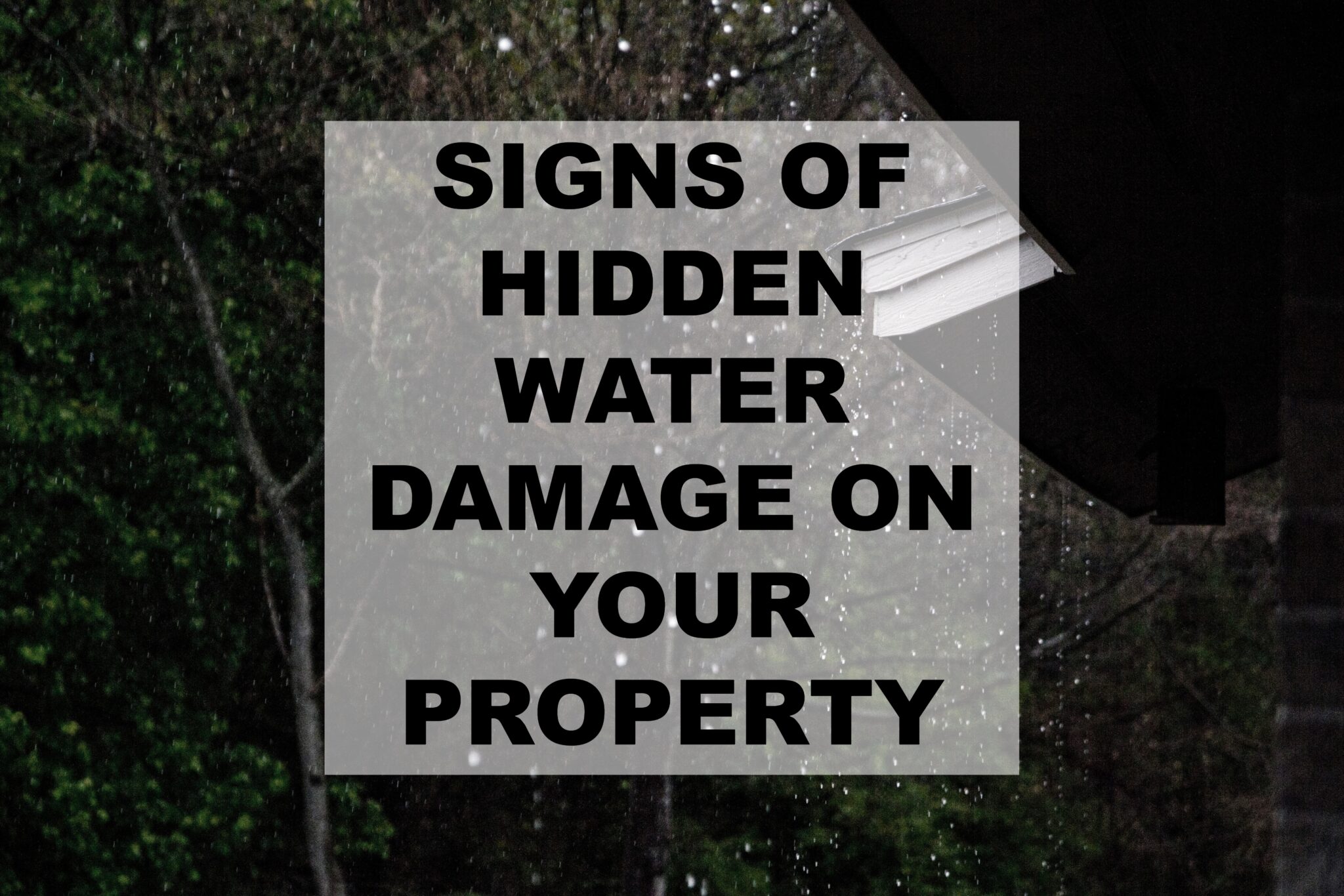 Signs of Hidden Water Damage on Your Property