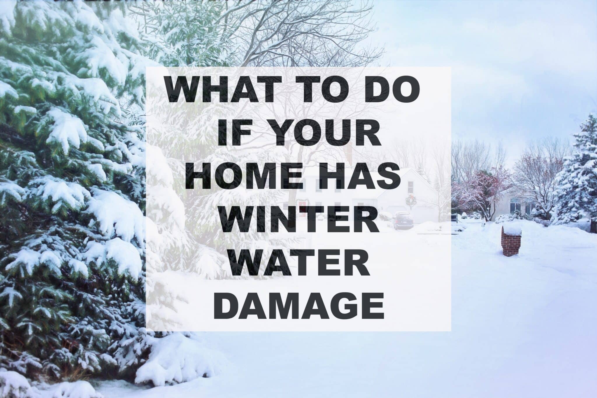 what to do if you home has winter water damage