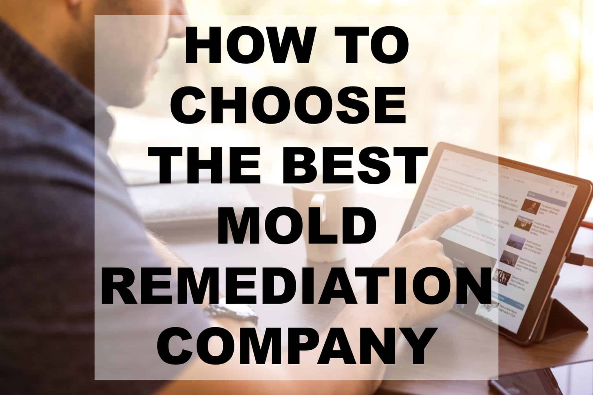How to Choose the Best Mold Remediation Company